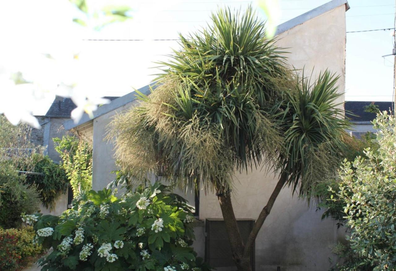 Duplex Confort Et Jardin Charmant Ναντ Εξωτερικό φωτογραφία
